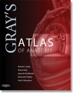 grays atlas